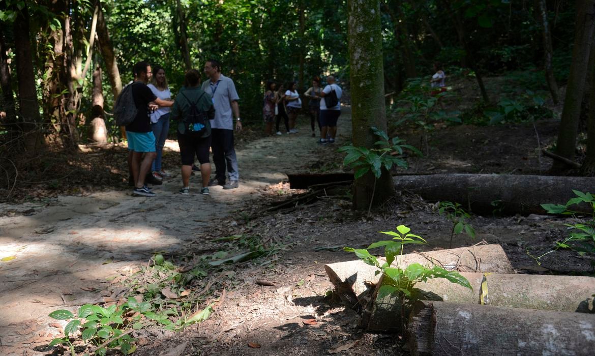Parque Nacional da Tijuca terá regras mais rígidas aos visitantes
