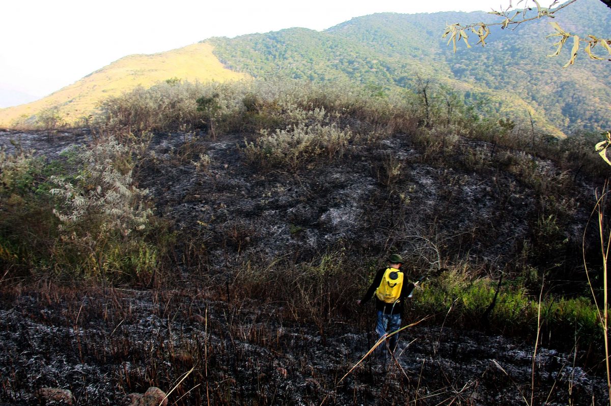 Protetores pedem ajuda à população no combate aos incêndios florestais em Nova Iguaçu