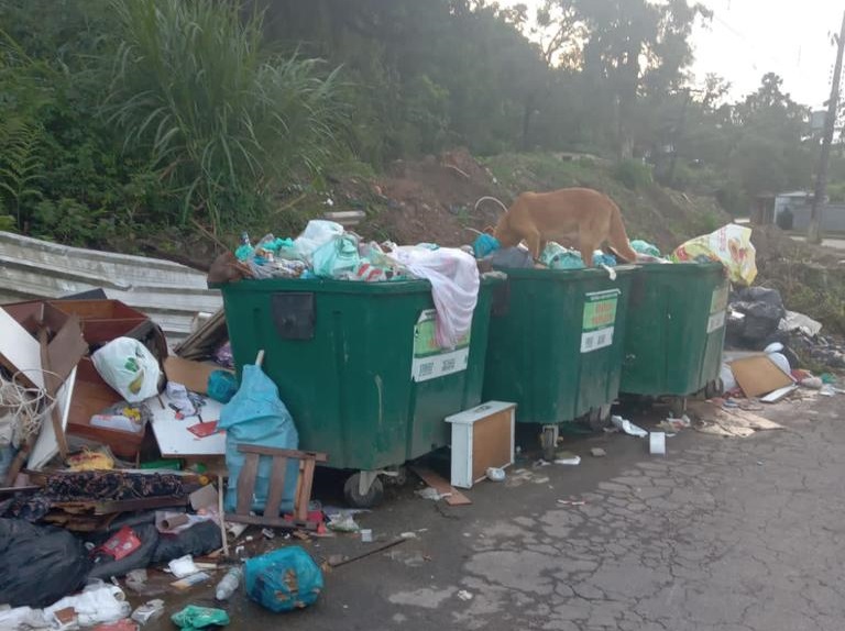 Contrato de mais de R$ 40 milhões não garante limpeza em Petrópolis